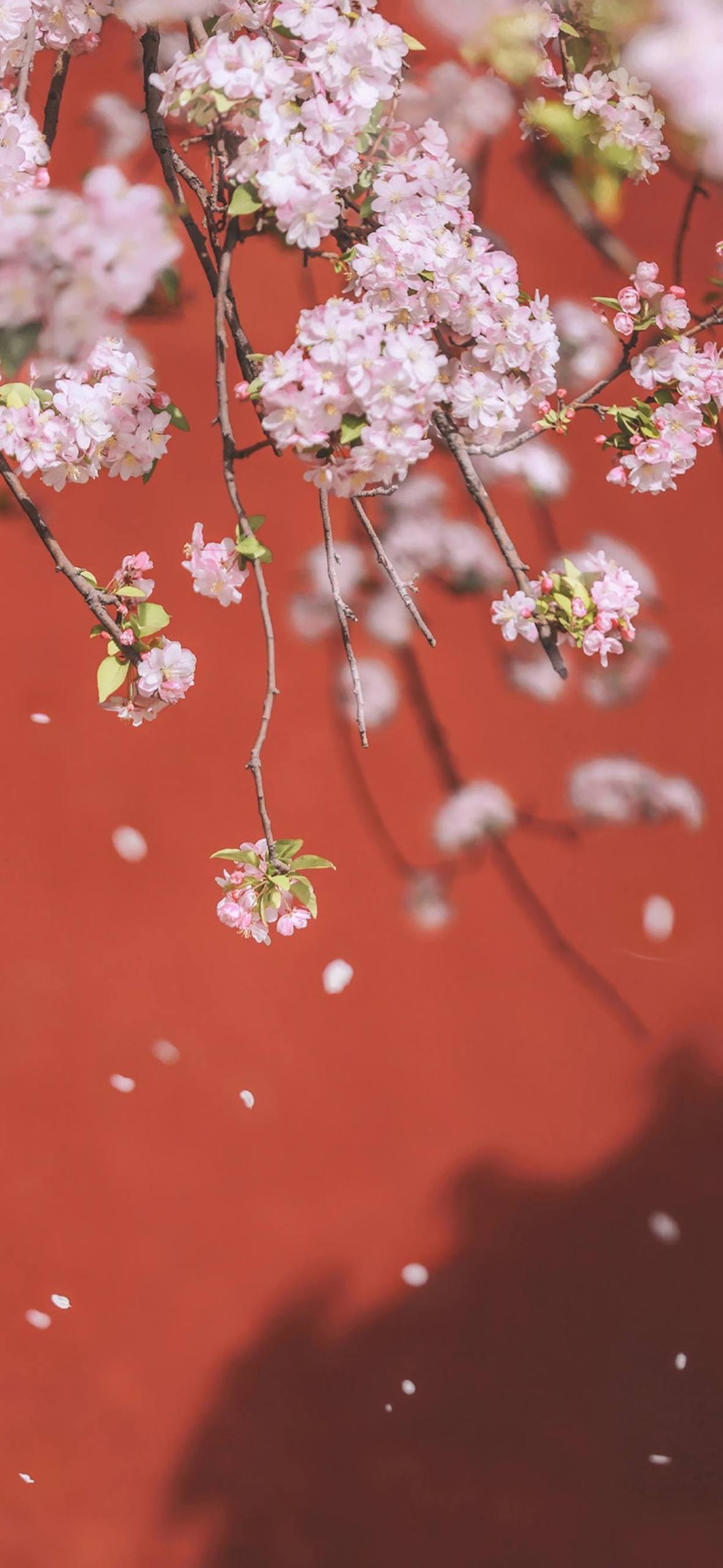 山水古韵：1920x1080极简风苹果壁纸，一键穿越至诗意江南