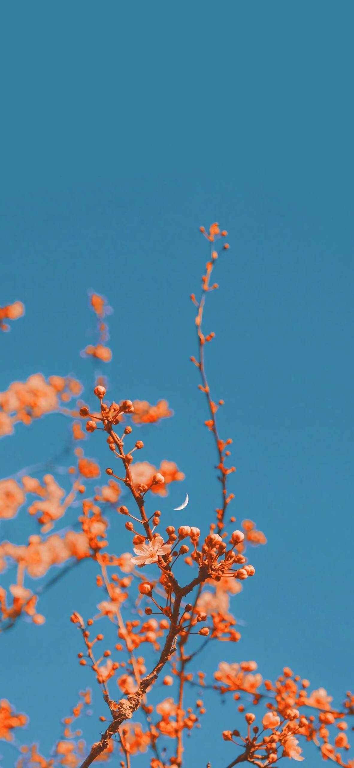 古韵山水，二次元泪痕：iPhone上的心灵画卷