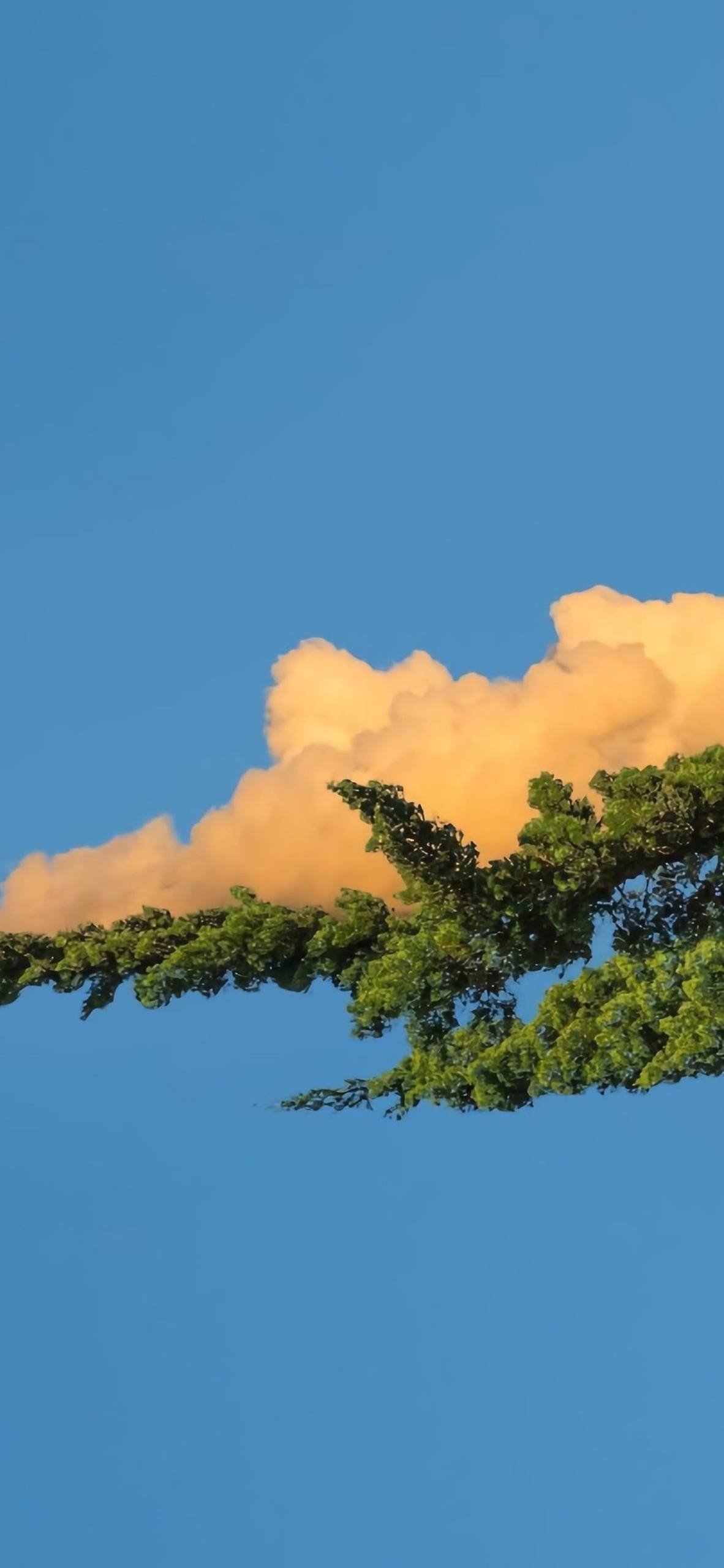 山水画卷：1920x1080极简绿意壁纸，手机屏幕上的自然诗篇
