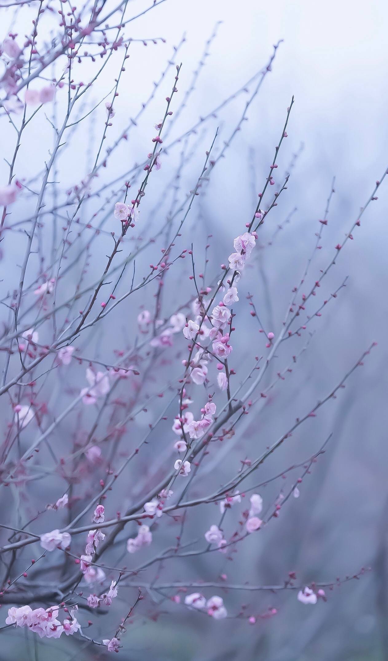山水画卷：iPhone上的免费伤感风景壁纸精选