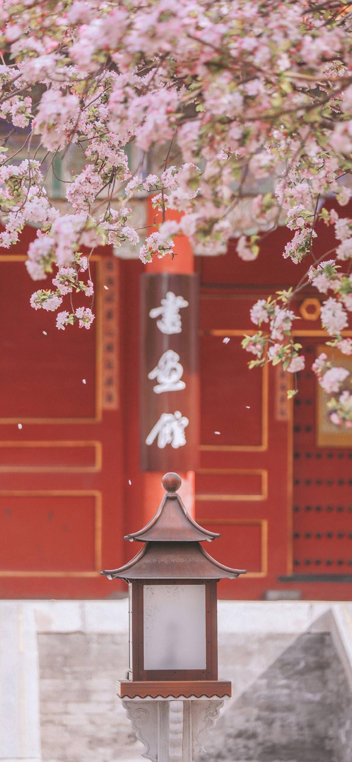 山水古风壁纸大赏：让你的iPad穿越千年，免费畅游古典画卷