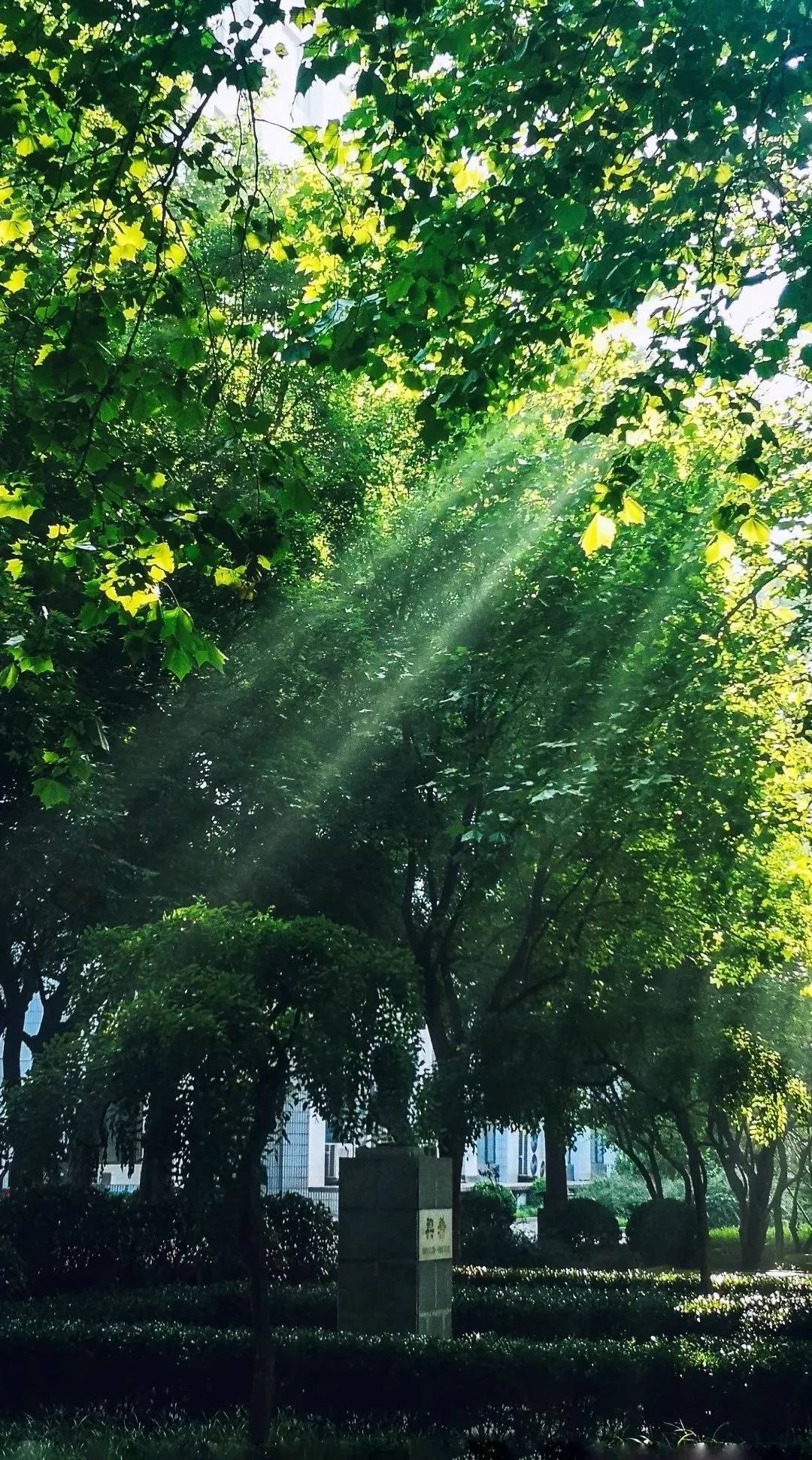 山水画卷：高清像素下的自然奇观，手机屏保的视觉盛宴详细内容1