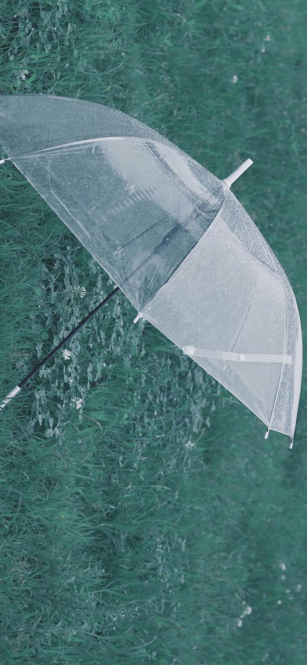 山水画卷，苹果屏上的诗意栖息