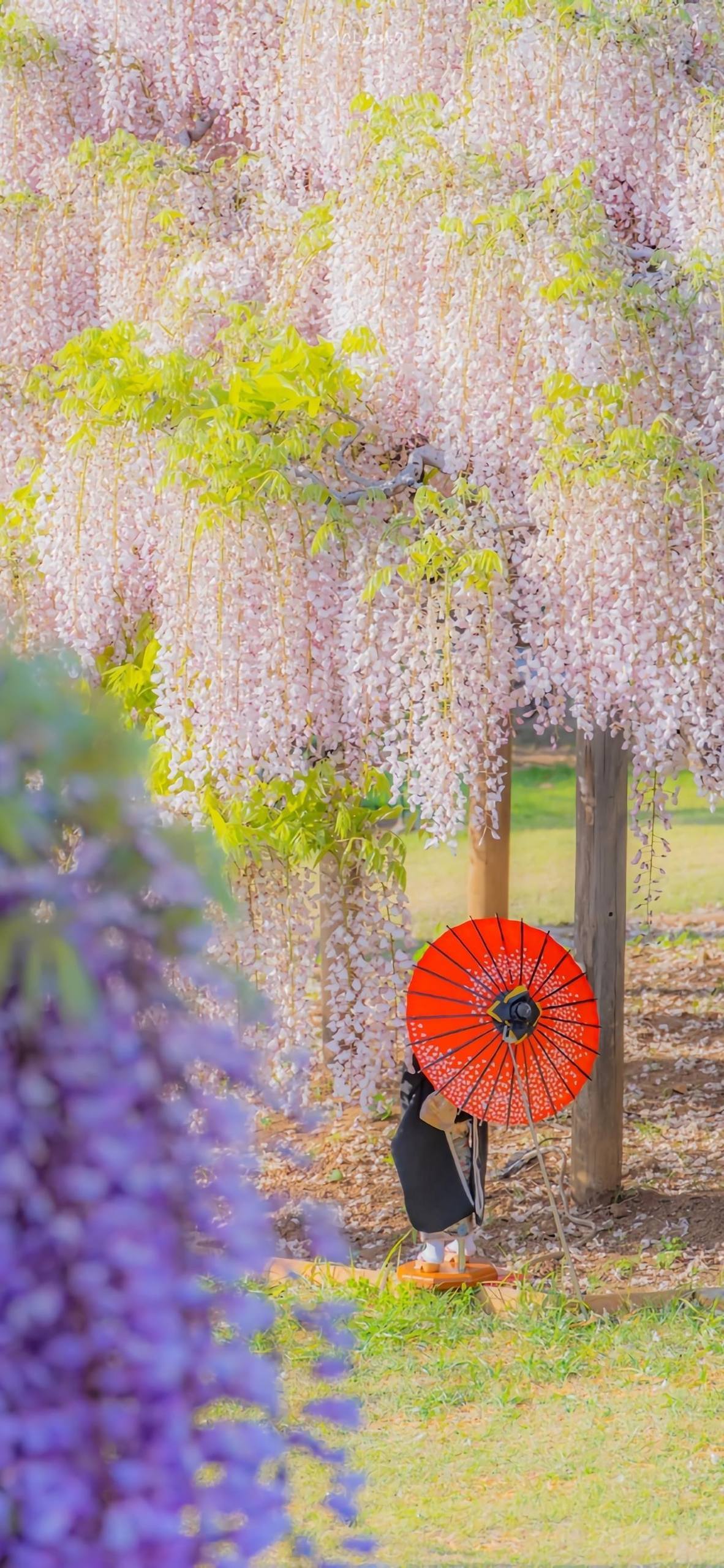 苹果手机山水画卷：1920x1080高清水彩壁纸，让眼睛享受免费的自然盛宴！详细内容2