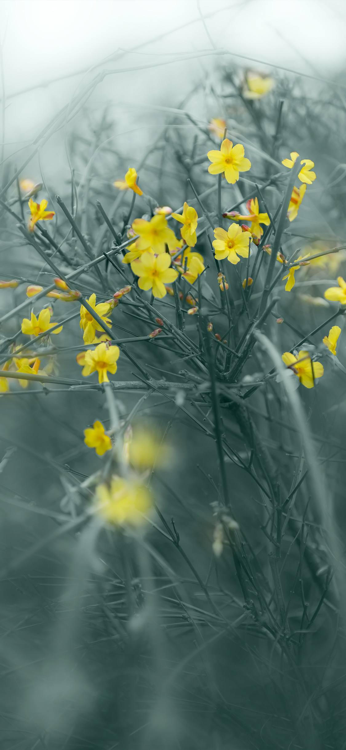 山水画卷：1920x1080高清平板壁纸，带你走进自然的诗意世界详细内容1