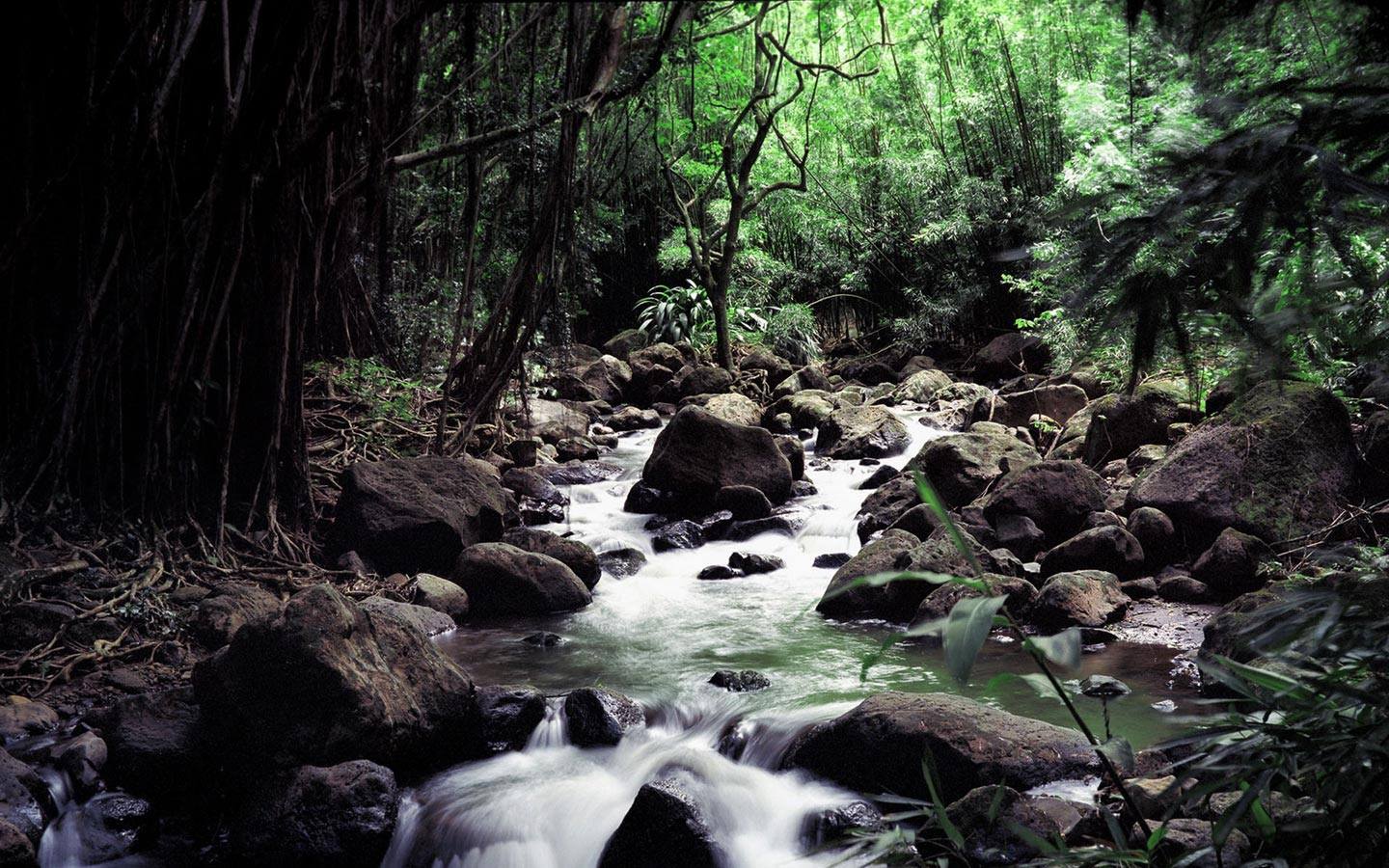 山水画卷：高清iPad风景壁纸，带你穿越自然之美详细内容2
