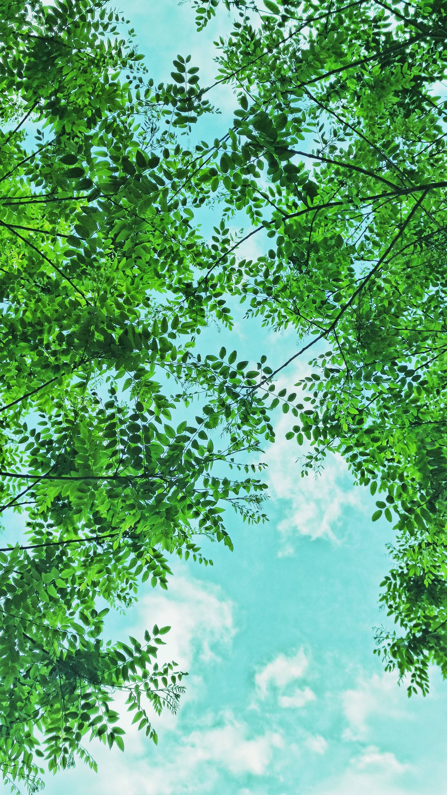 古风山水画卷：超清免费壁纸，带你穿越千年梦境详细内容1