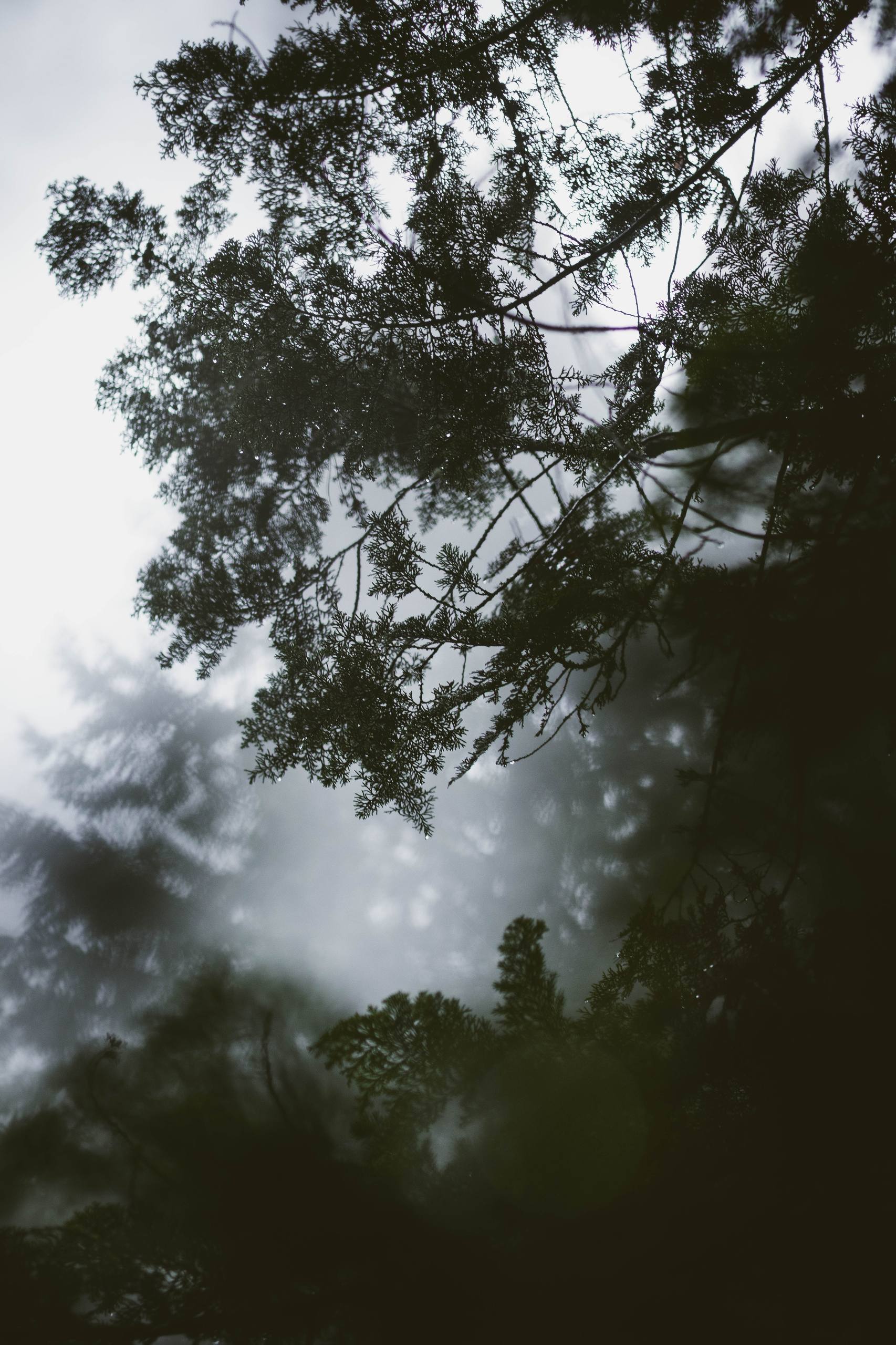 粉红山水梦：手机壁纸的极简视觉盛宴详细内容1