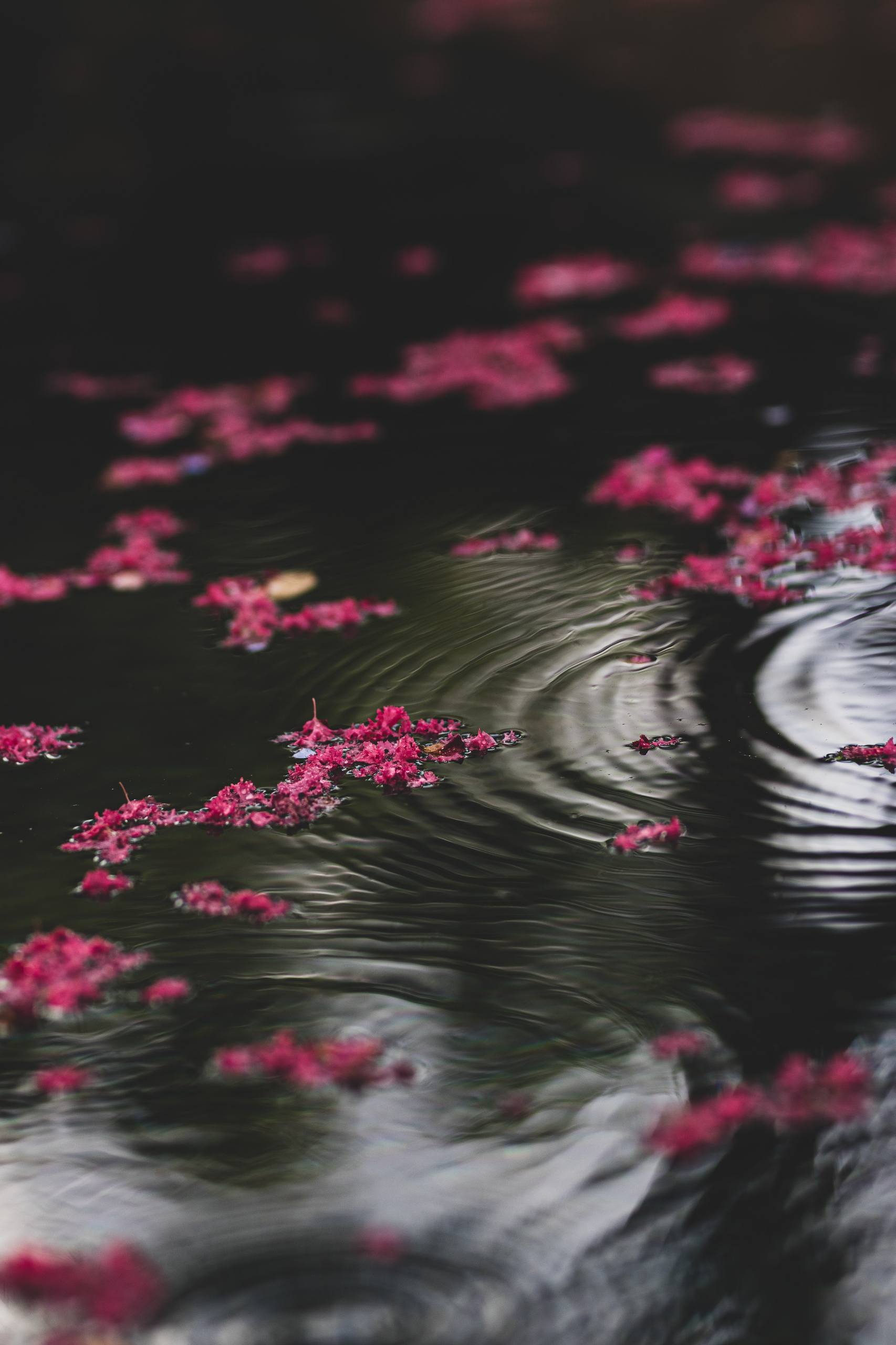 山水画卷：苹果手机上的水彩梦境壁纸大放送详细内容1