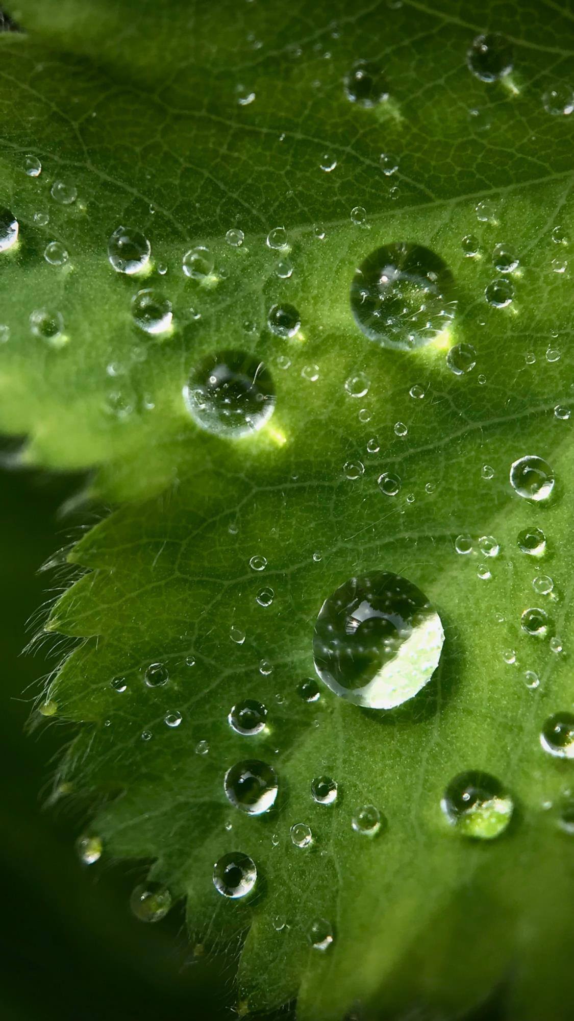 古风山水图：手机壁纸中的2k高清仙境详细内容1
