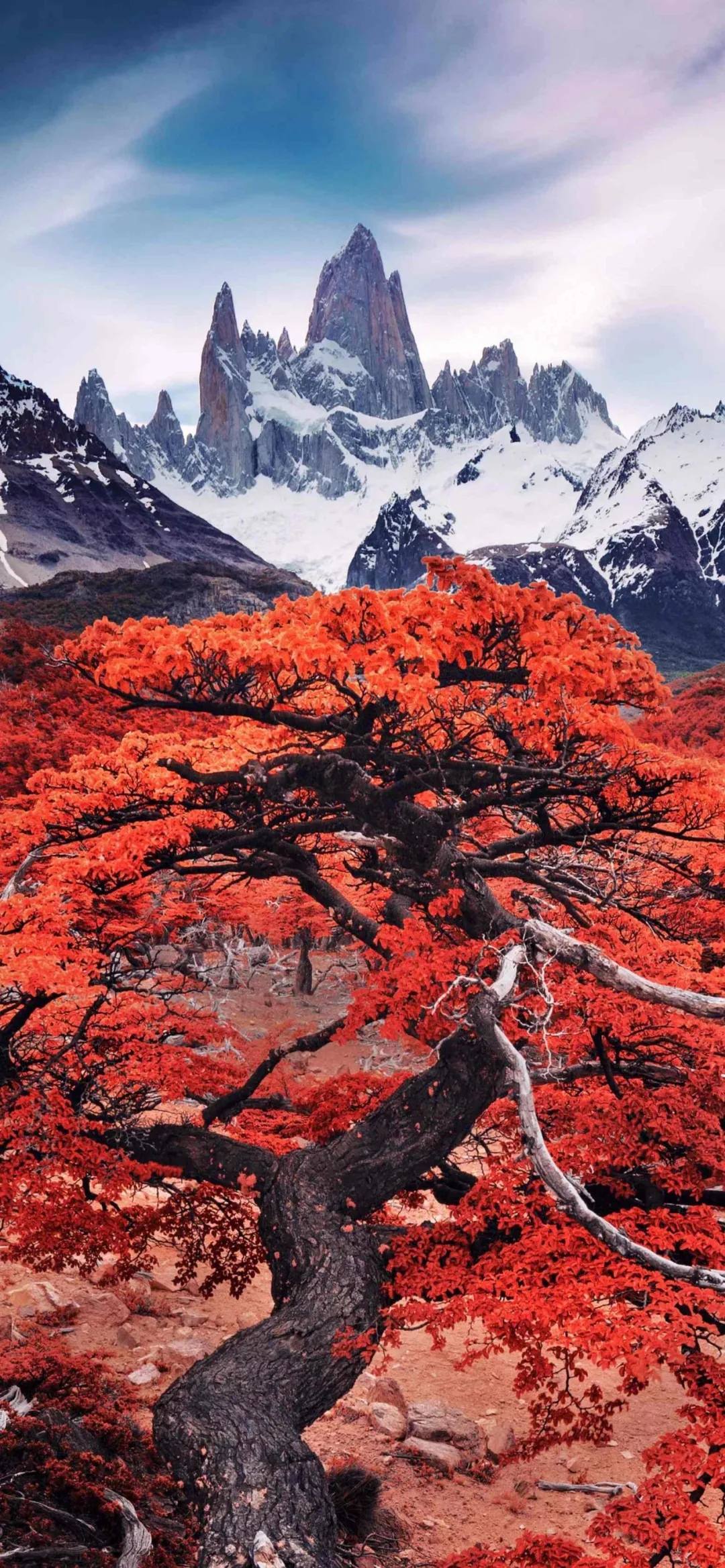黑夜山河：免费平板壁纸中的神秘山水画卷详细内容1