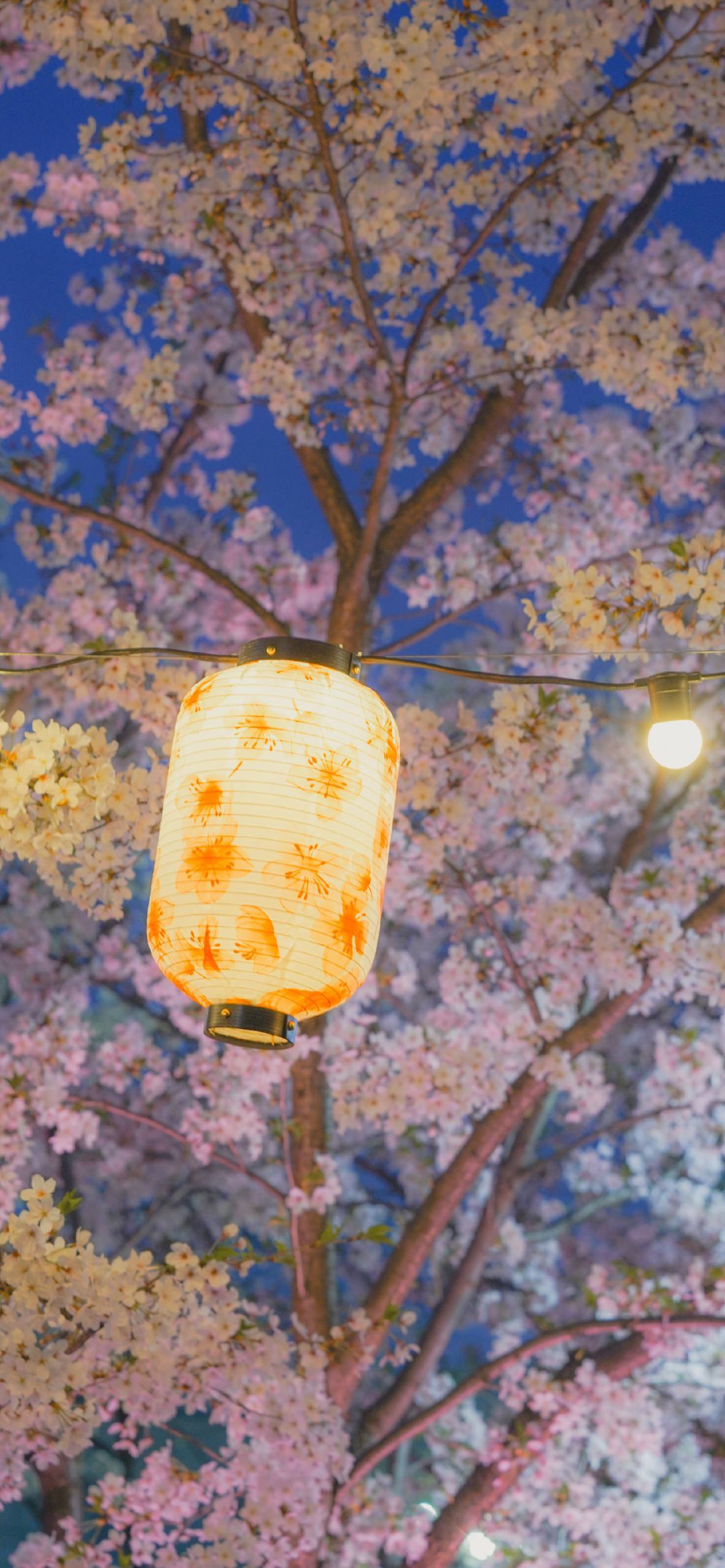 苹果手机山水画卷：1920x1080高清水彩壁纸，让眼睛享受免费的自然盛宴！详细内容3