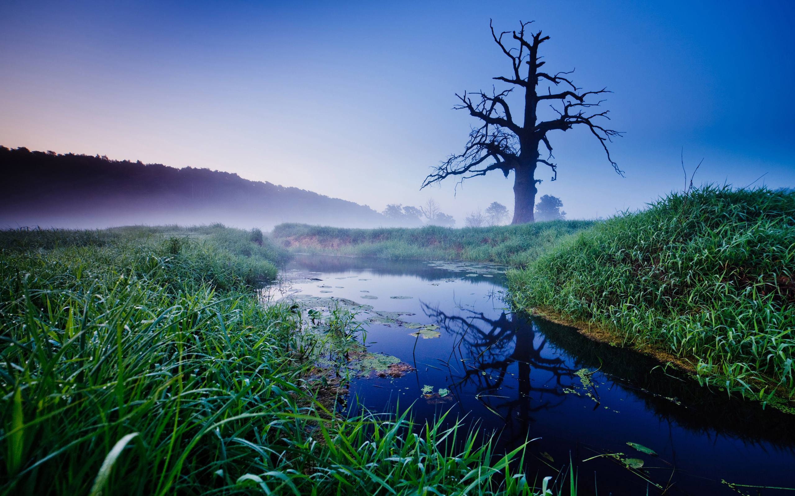 山水一壁纸：特写游戏平板上的INS风风景画卷详细内容1