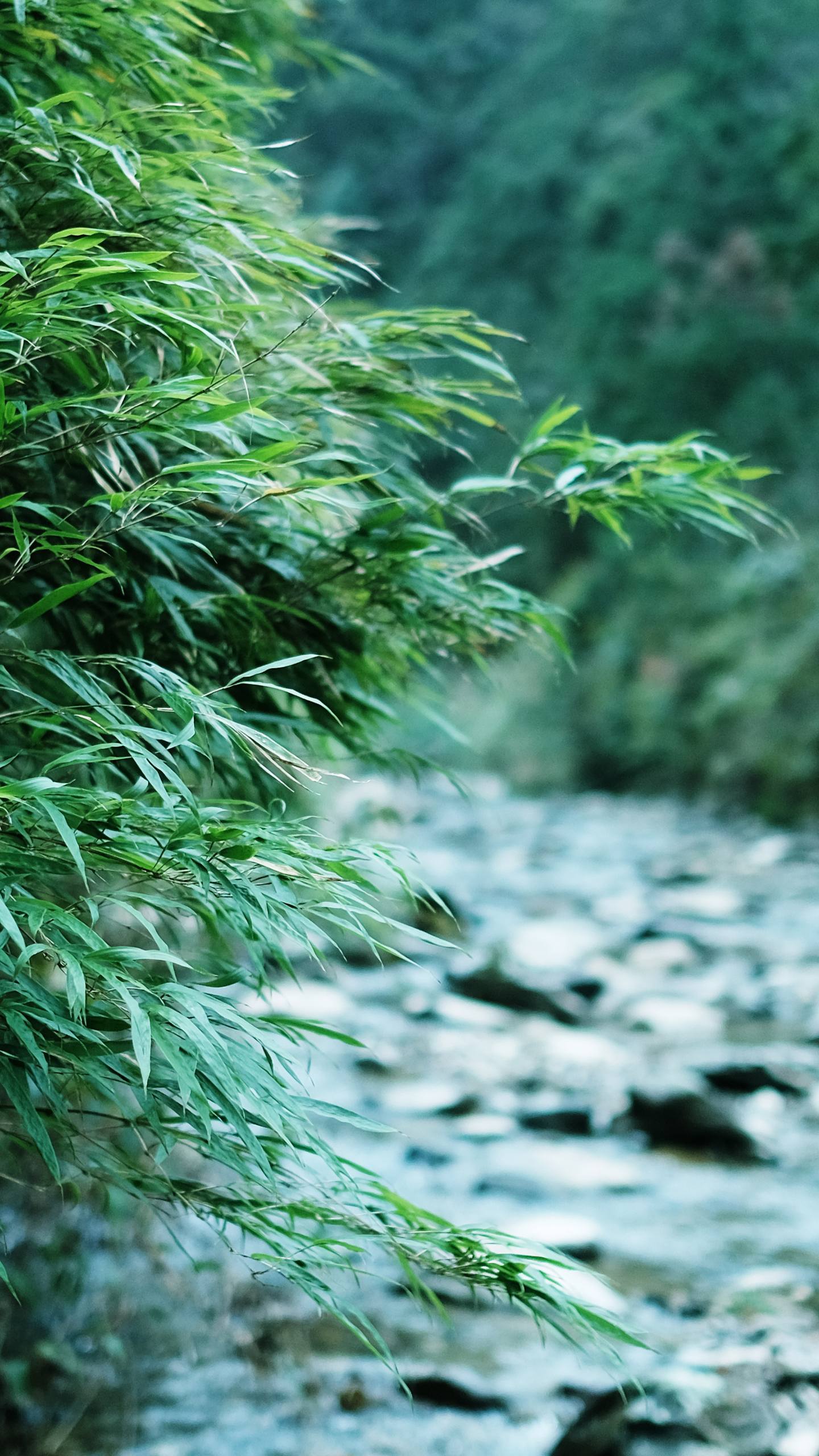 山水画卷：手机屏保的诗意逃亡详细内容2