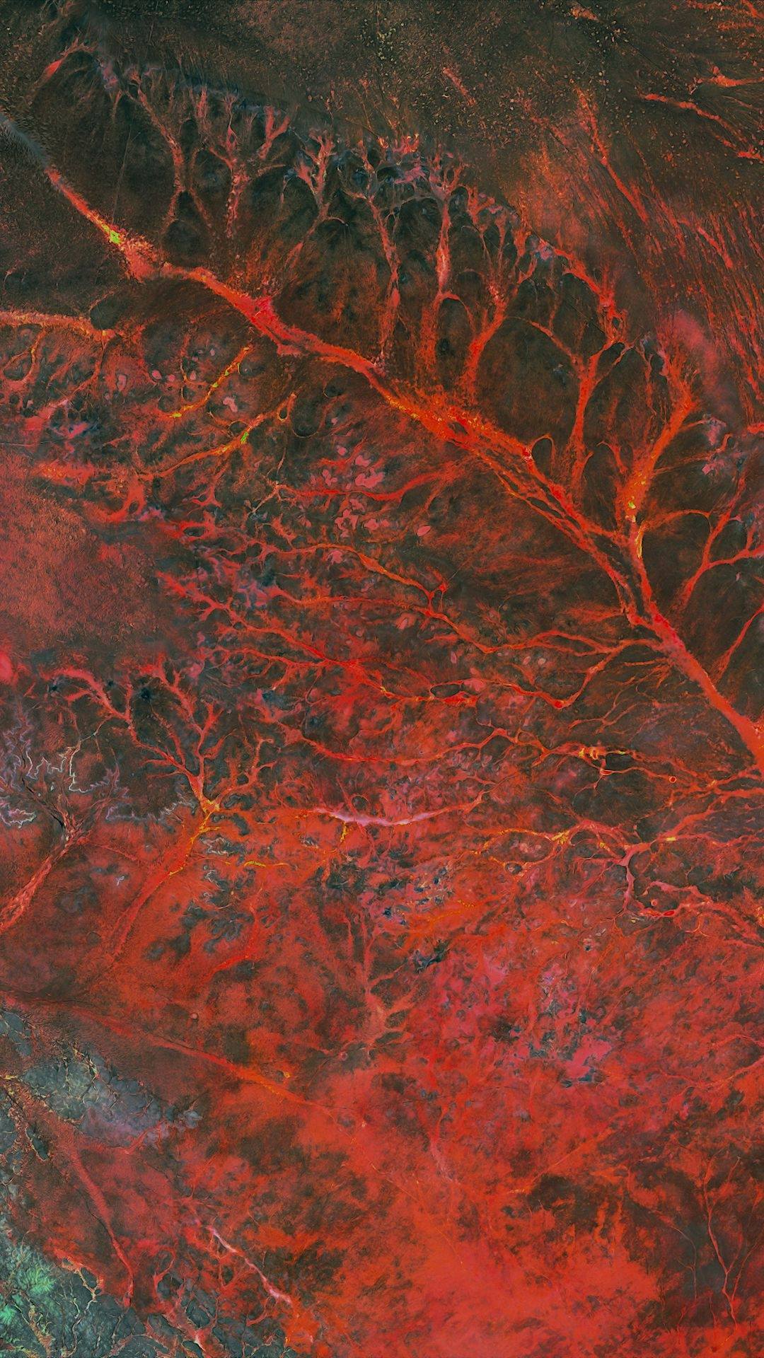 山水画卷：紫色护眼壁纸带你穿越安卓1920x1080的仙境