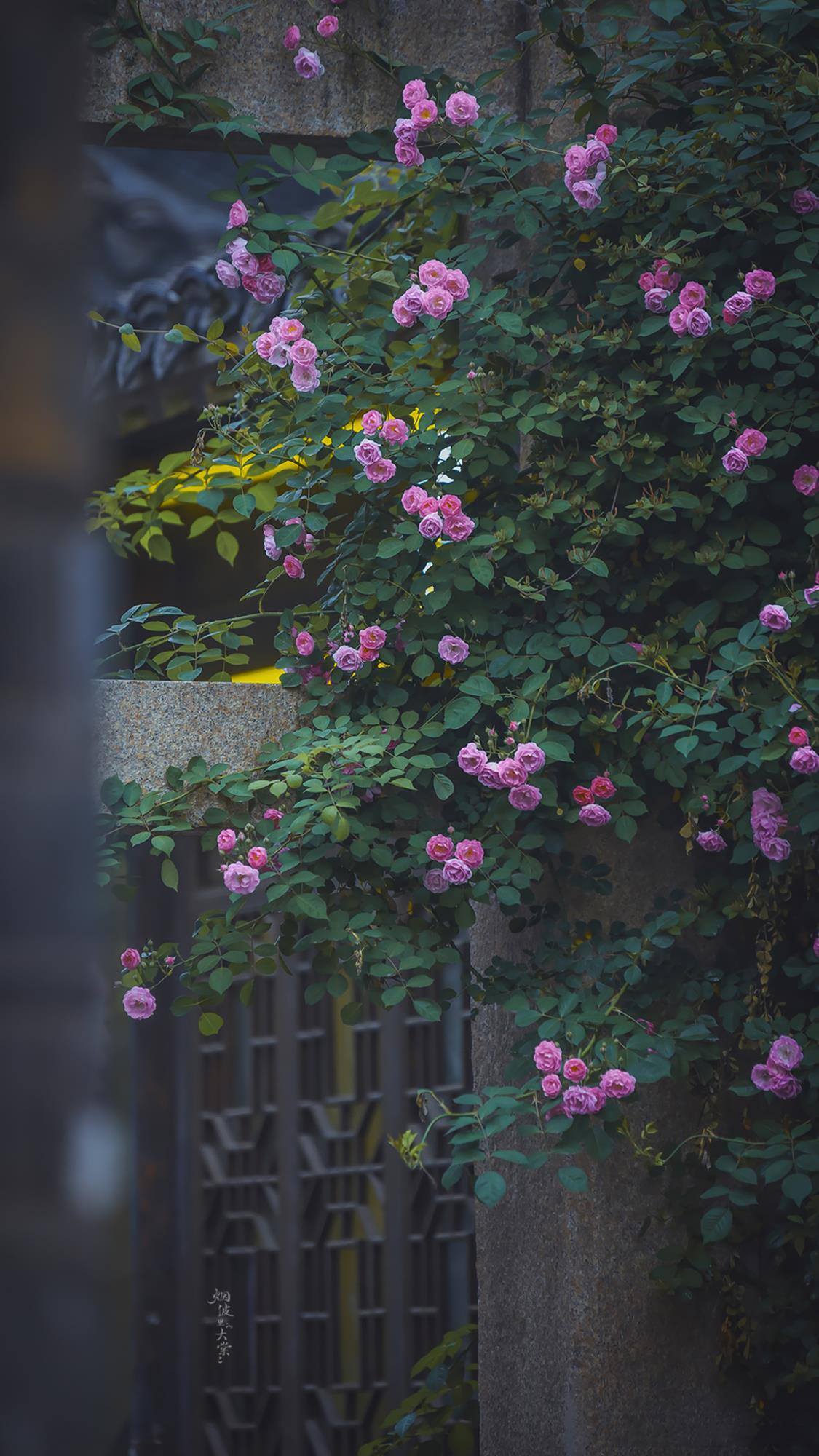古韵山水，手机屏上的诗意画卷详细内容3