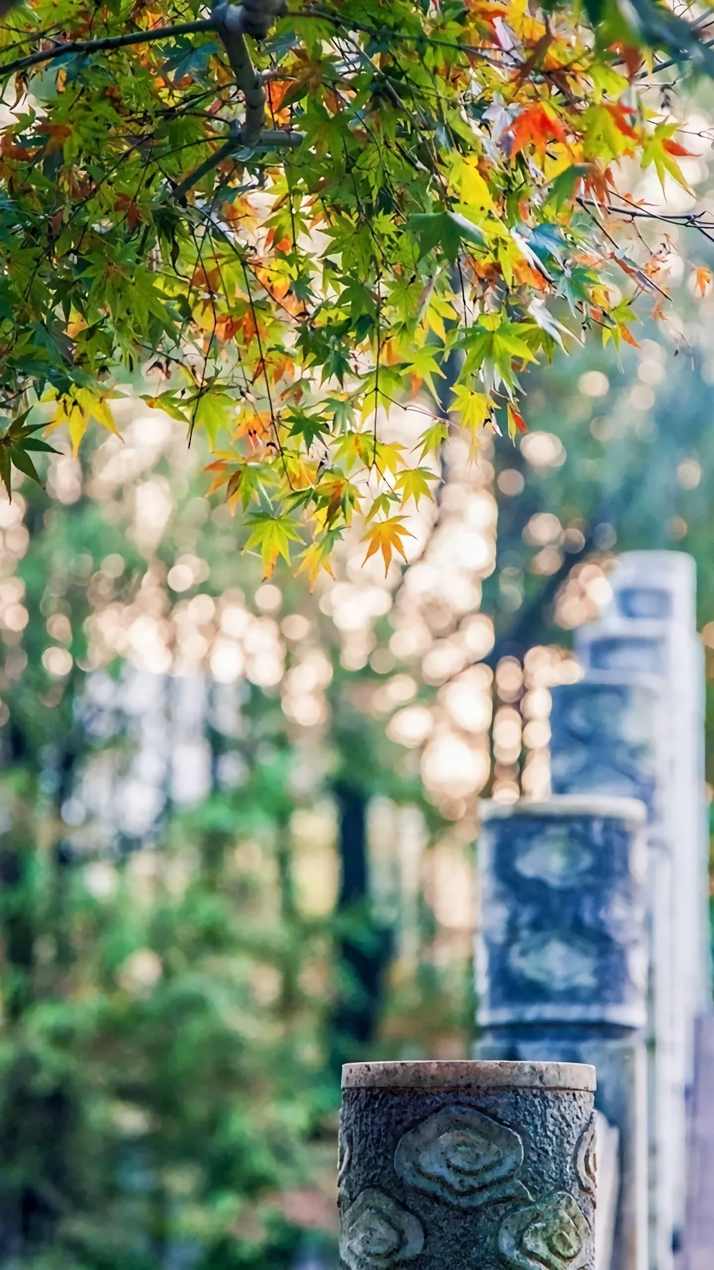 山水画卷：手机屏幕上的诗意之旅详细内容5