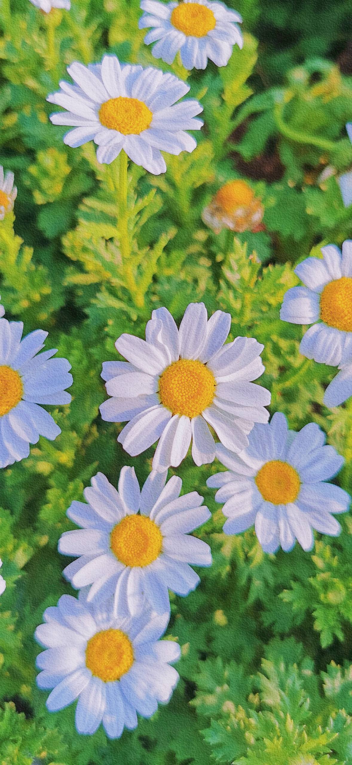 古风山水画卷：超清免费壁纸，带你穿越千年梦境详细内容3