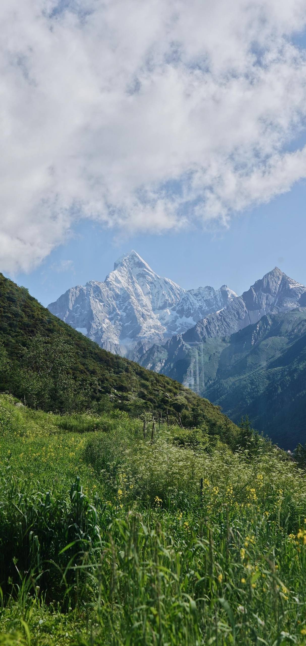山水国画手机壁纸：让眼睛和心灵一起旅行的超好看护眼装饰详细内容2