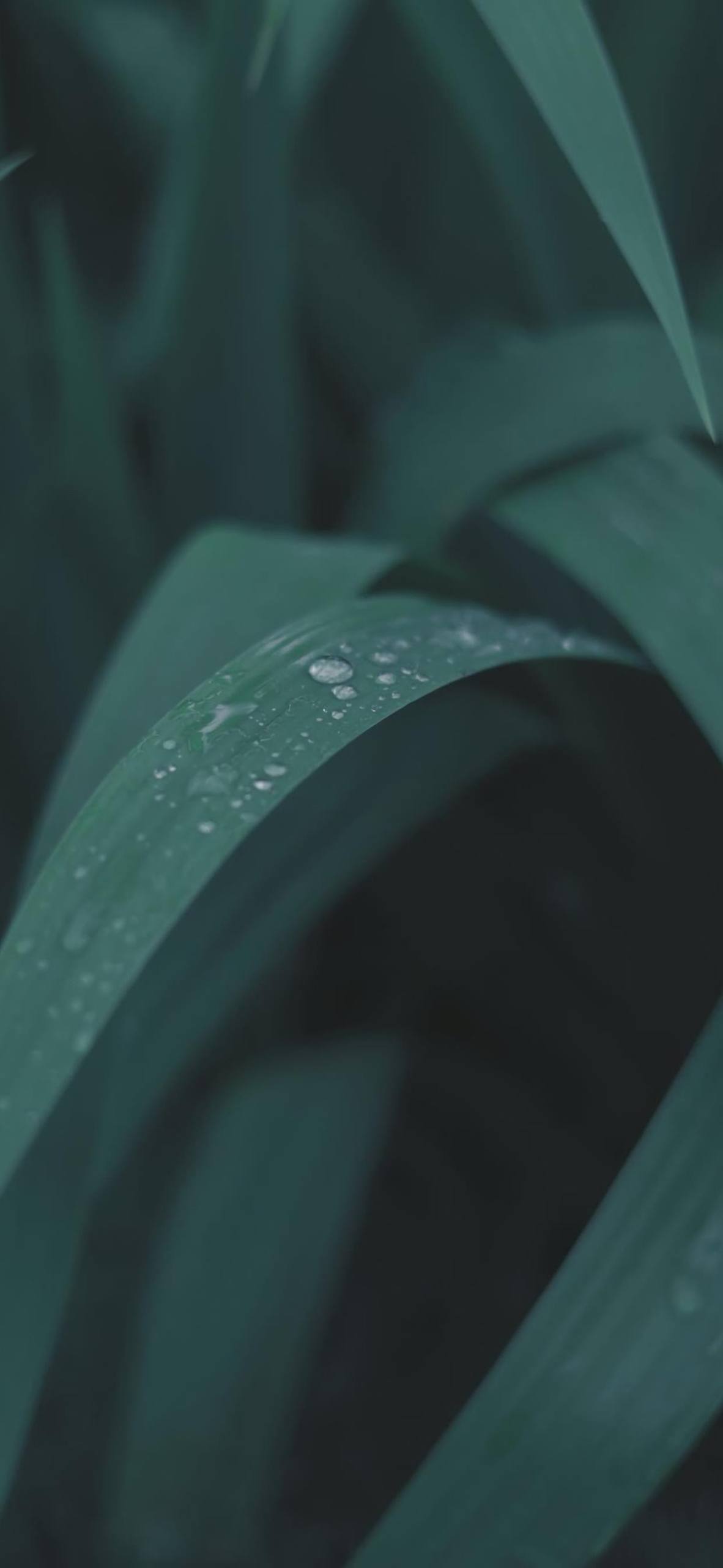 山水画卷：苹果手机上的古风水彩壁纸盛宴详细内容4