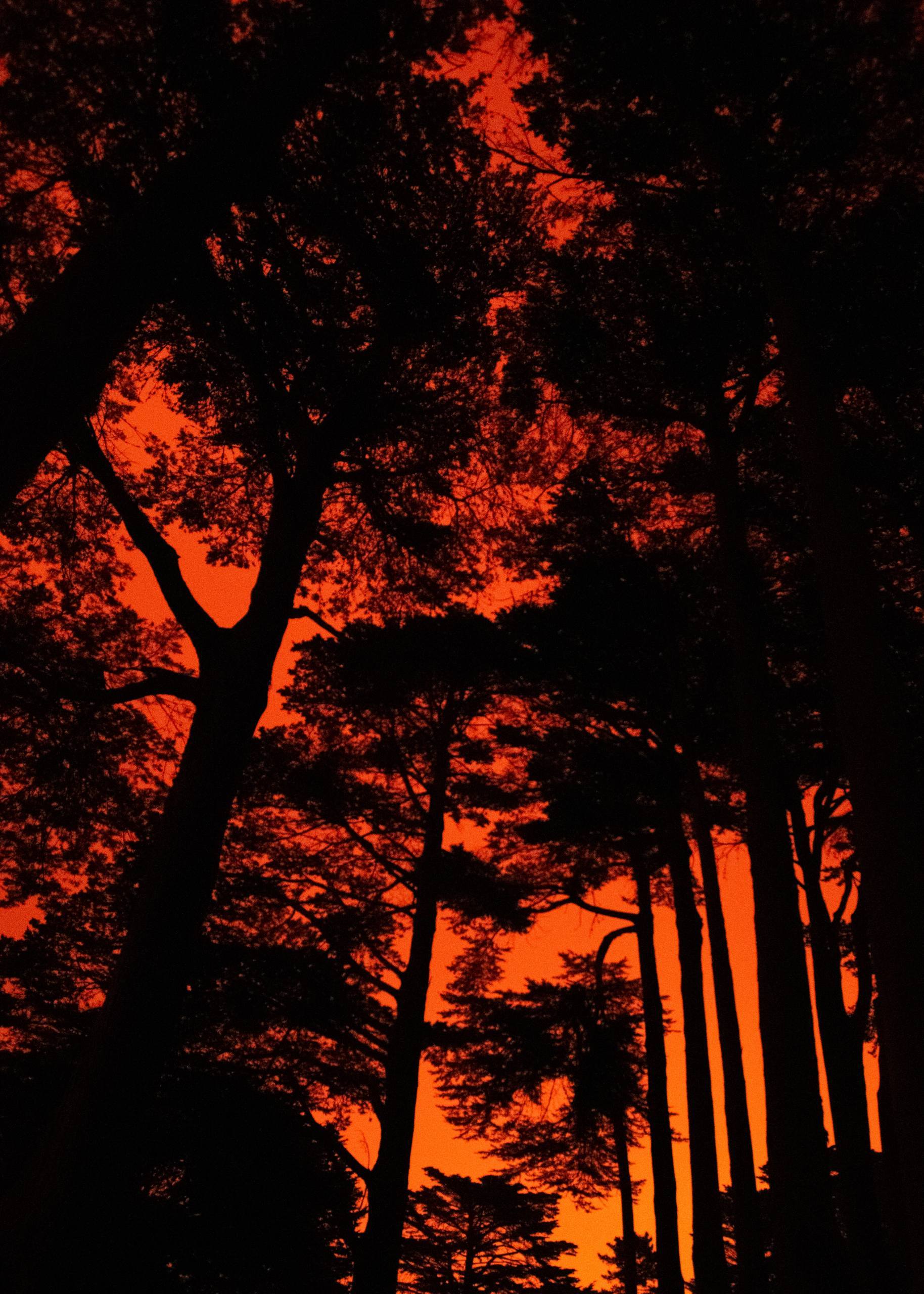 古韵山水：手机壁纸中的伤感游戏与超好看风景详细内容2