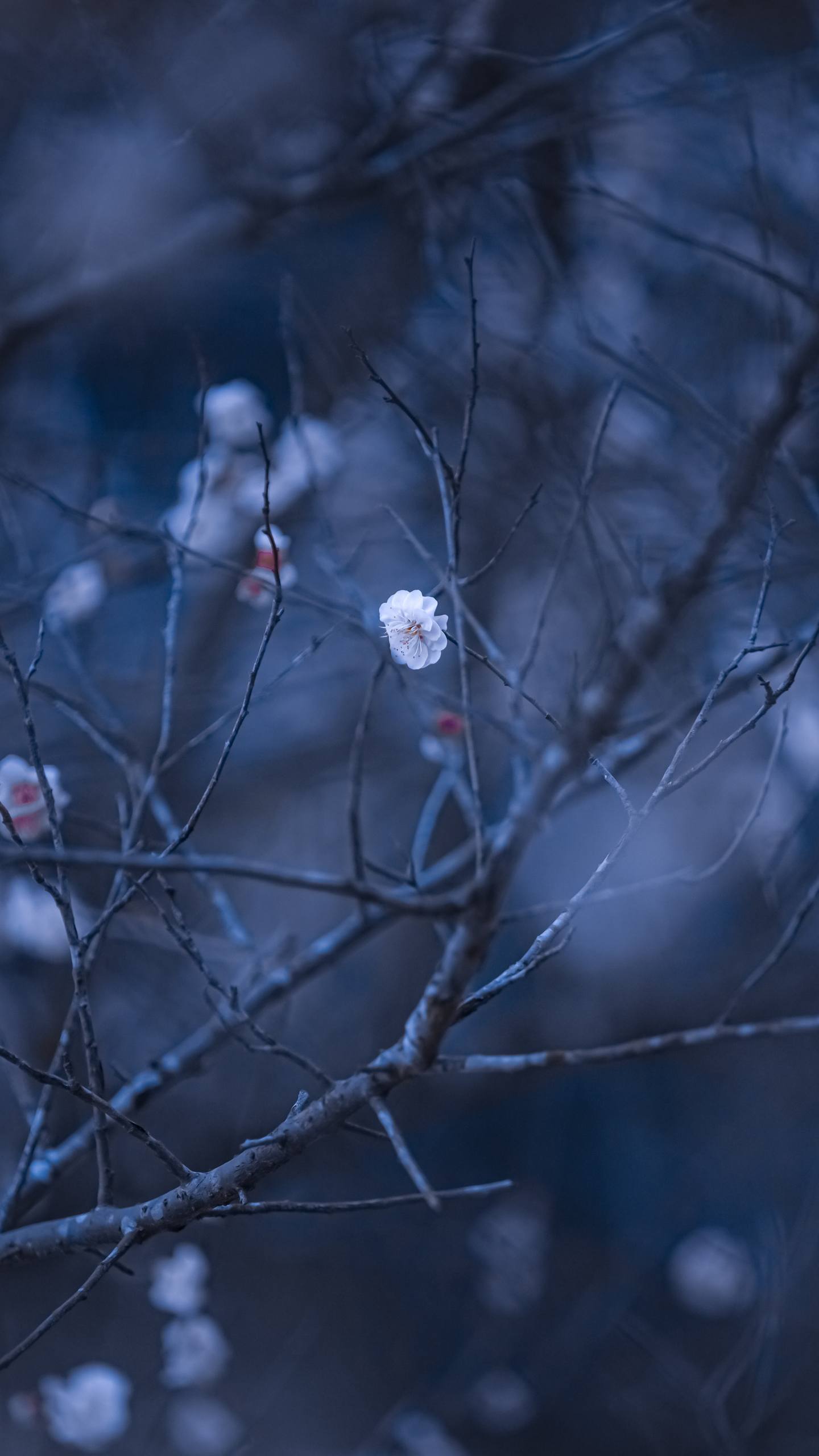 山水画卷：手机里的诗意江湖详细内容5