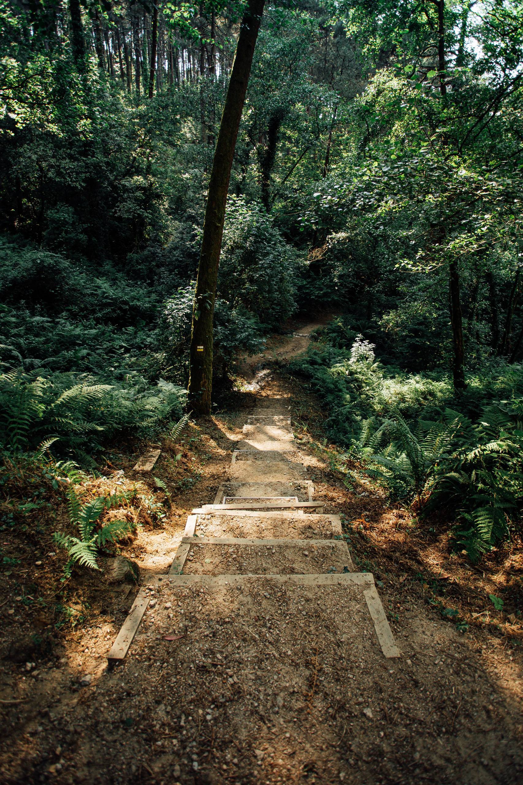 紫韵山水：免费高清壁纸，带你穿越梦幻仙境详细内容3