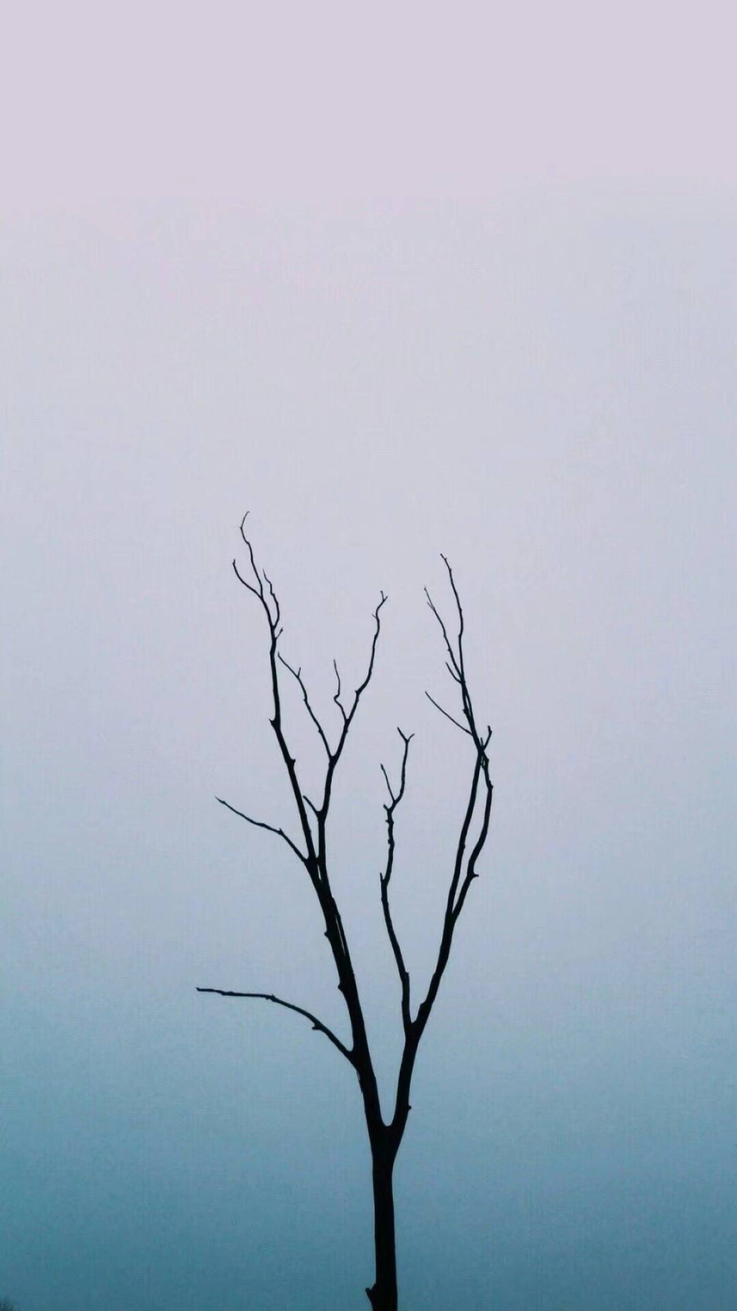 古韵山水，手机屏上的诗意画卷详细内容2