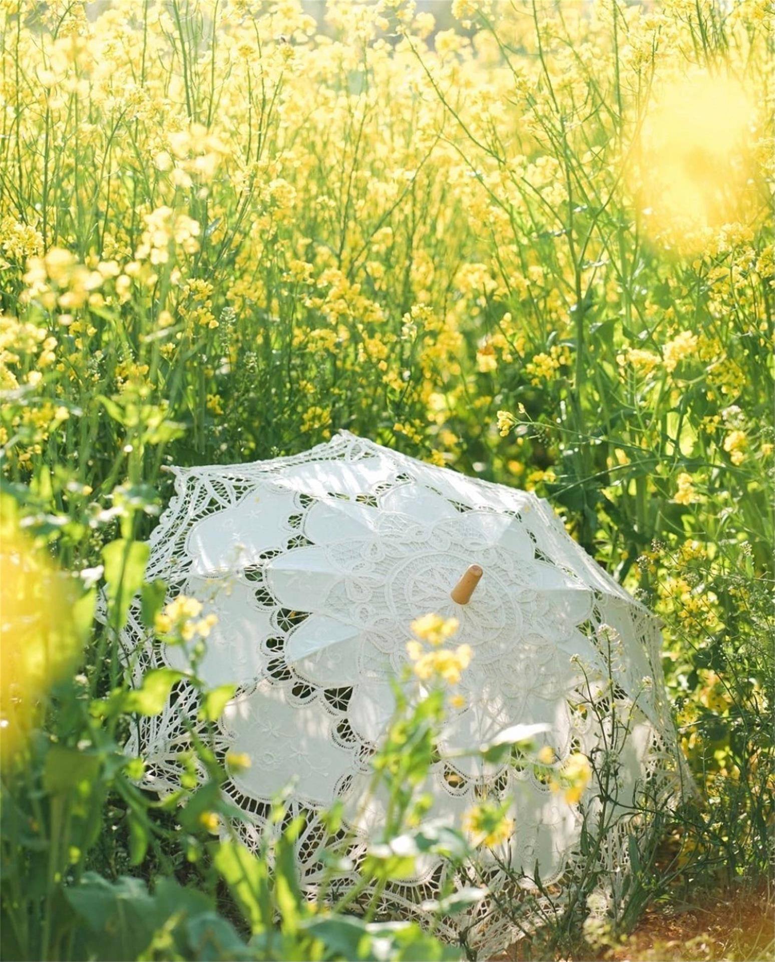 山水画卷：手机里的自然奇观详细内容5