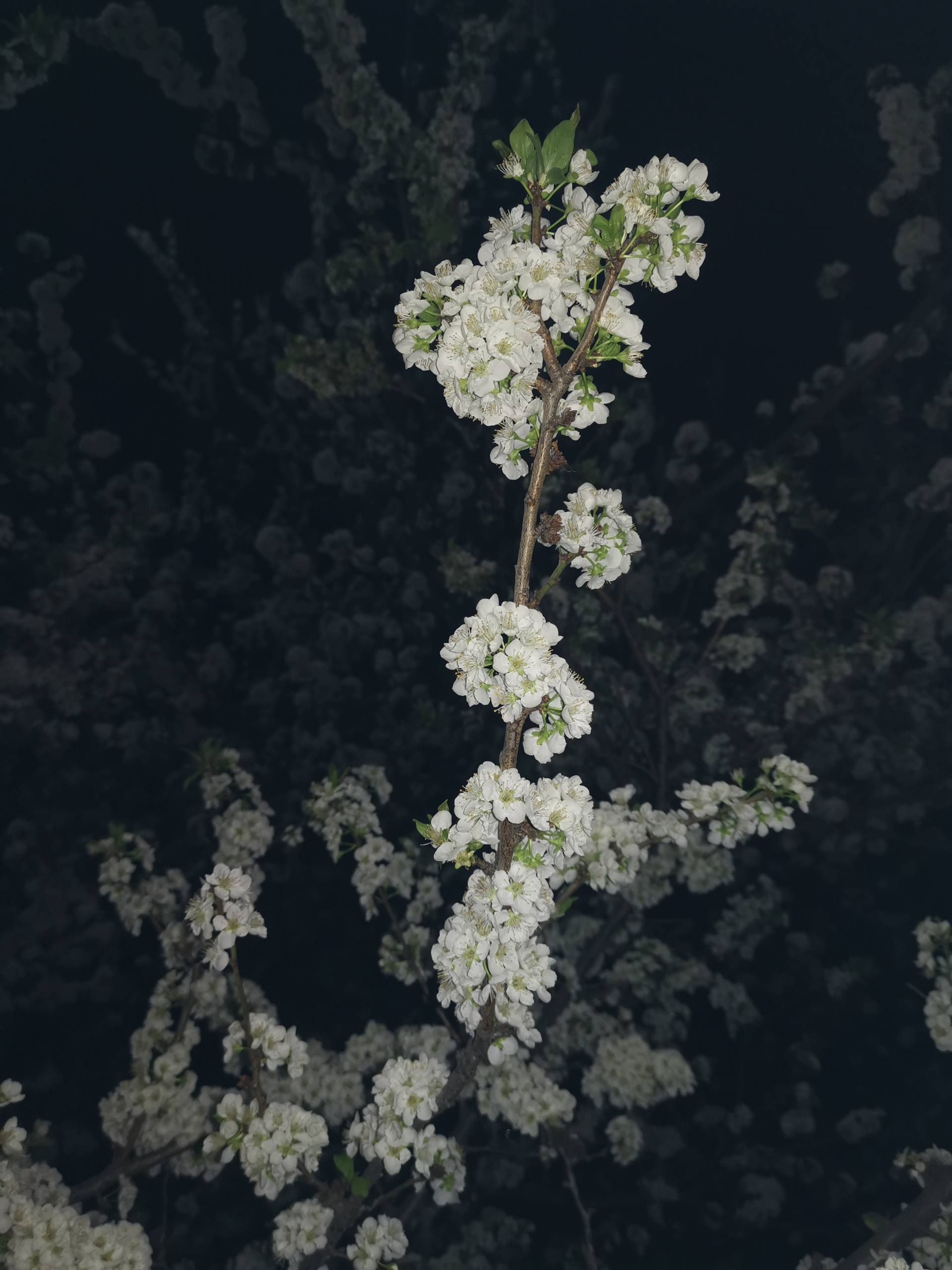 水墨江山：古风山水壁纸，让你的iPhone秒变诗意画卷详细内容4