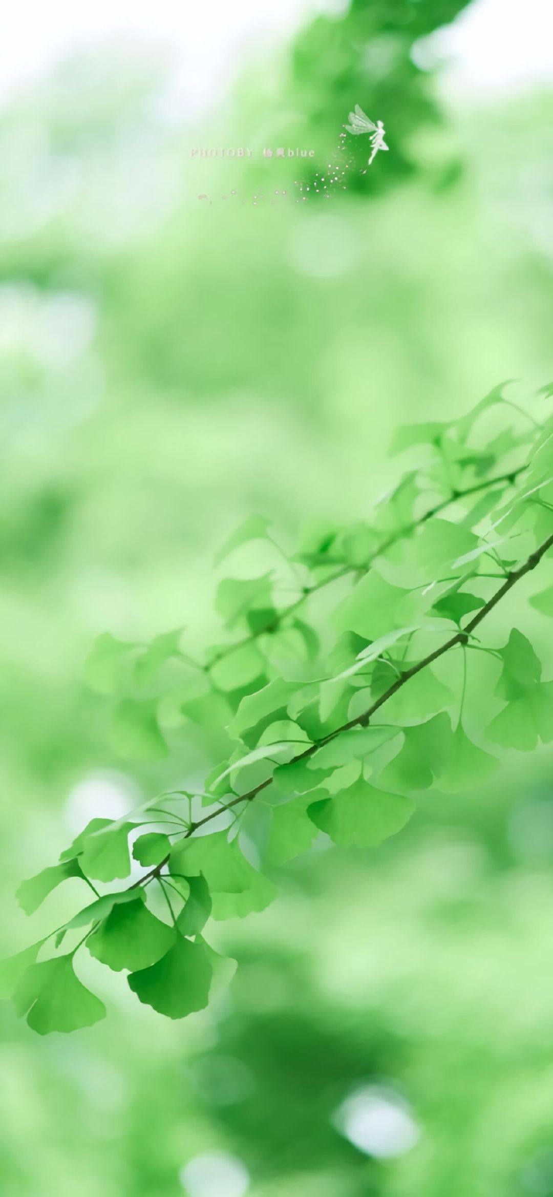 像素大师的山水画卷：高清iPad壁纸带你穿越云海详细内容5
