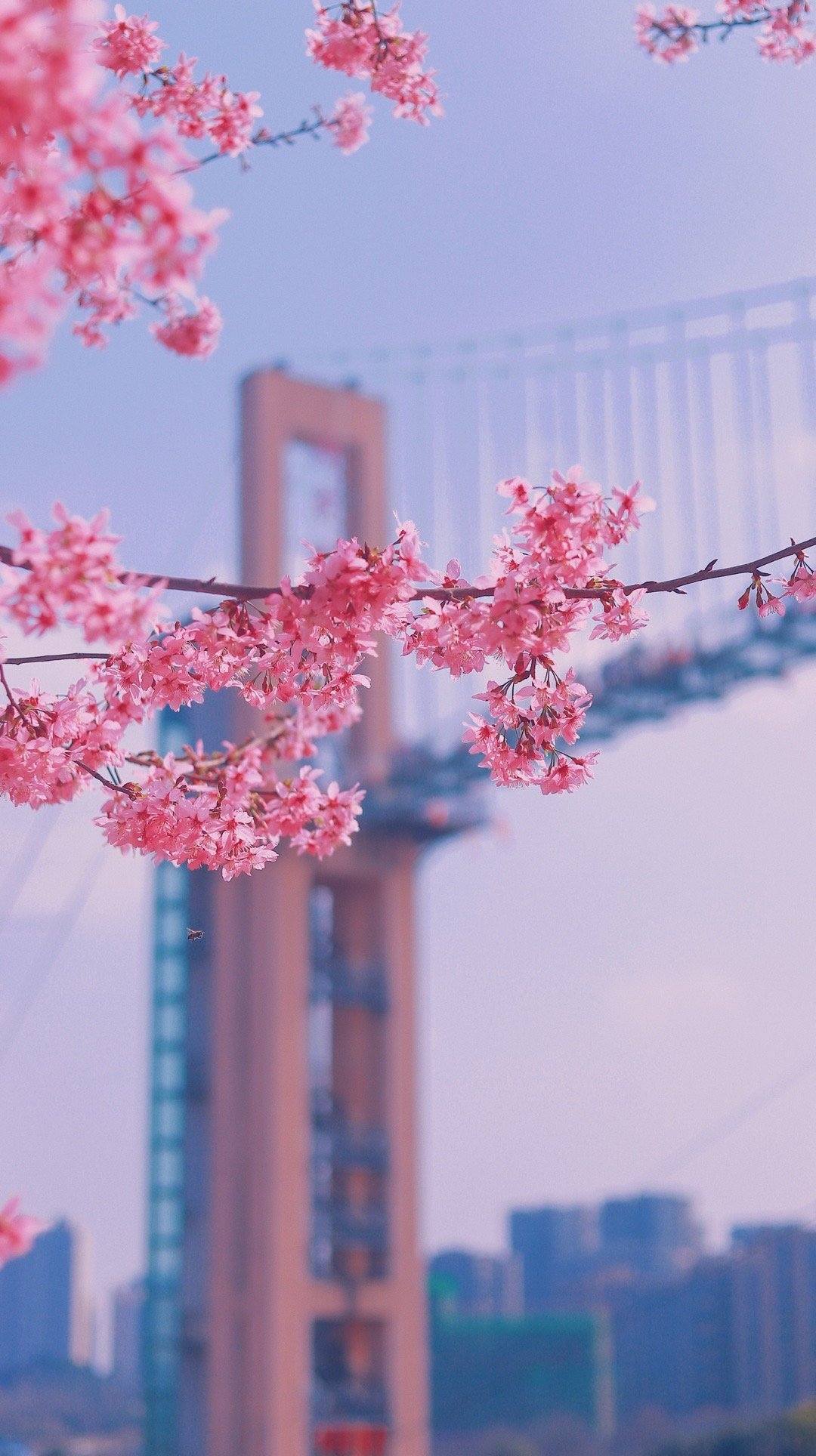 桂林山水画卷：手机上的诗意之旅详细内容4