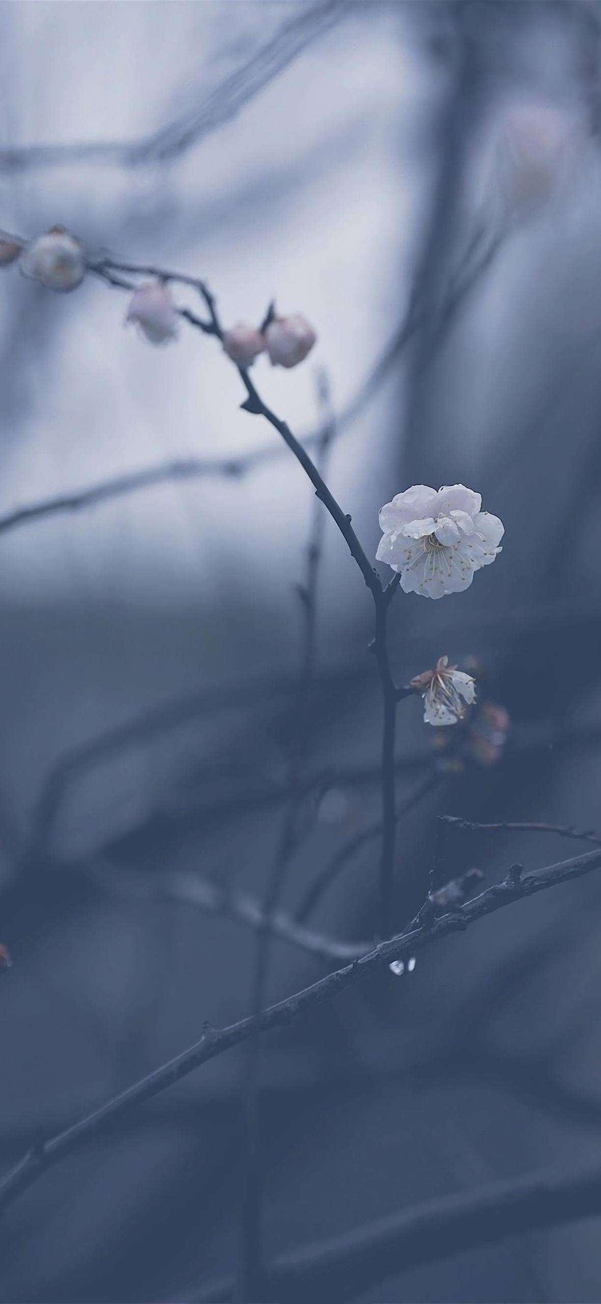 古韵山水，手机屏上的诗意画卷详细内容4